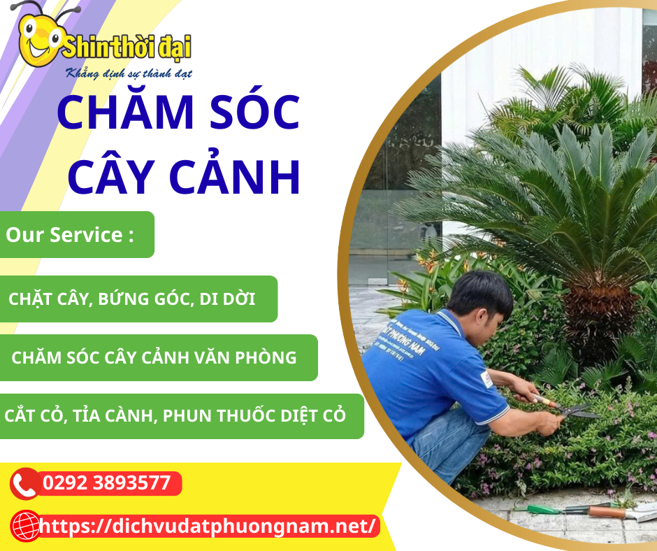 DỊCH VỤ CHĂM SÓC CÂY CẢNH CẦN THƠ